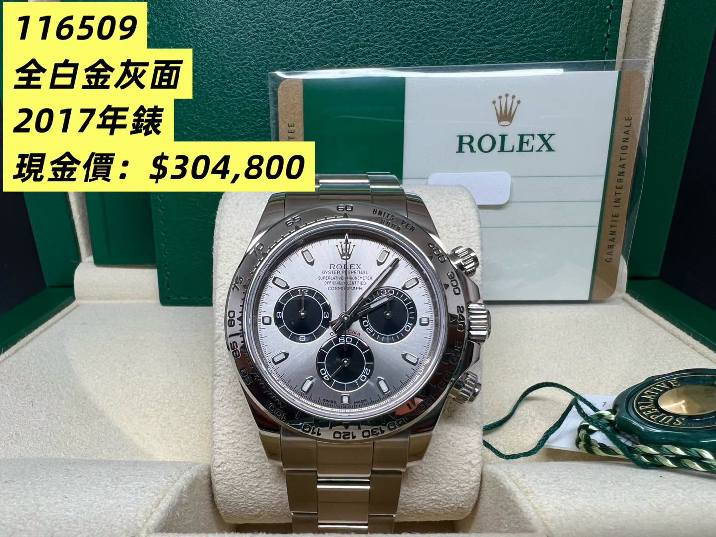 Rolex Daytona 全白金灰面 116509 2017年錶